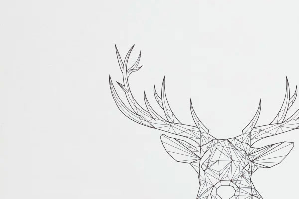 Servicios diseño gráfico