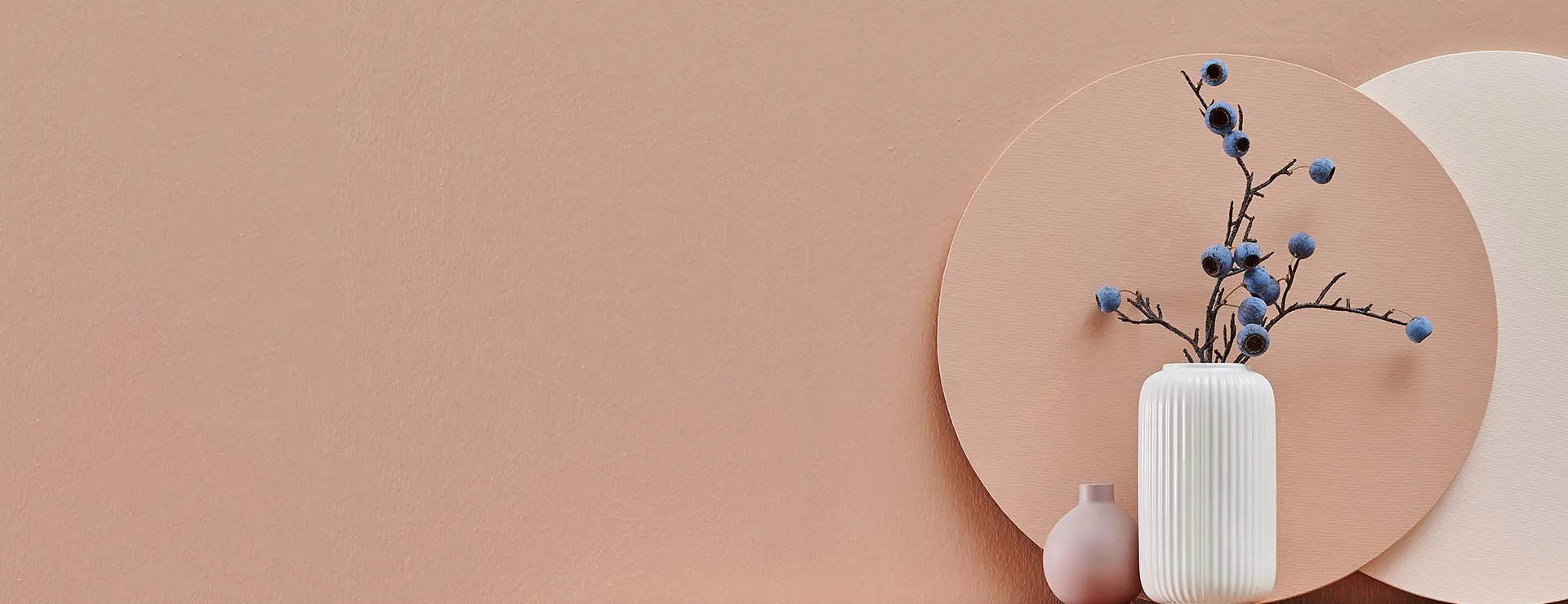 Cabecera dominios web